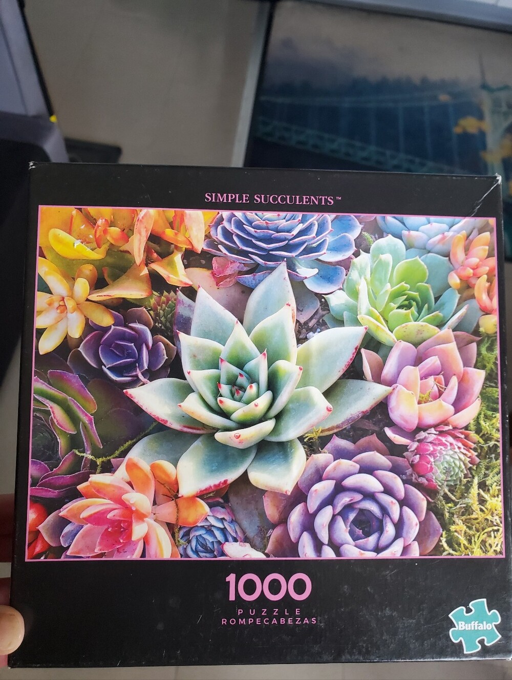 Succulent Puzzle